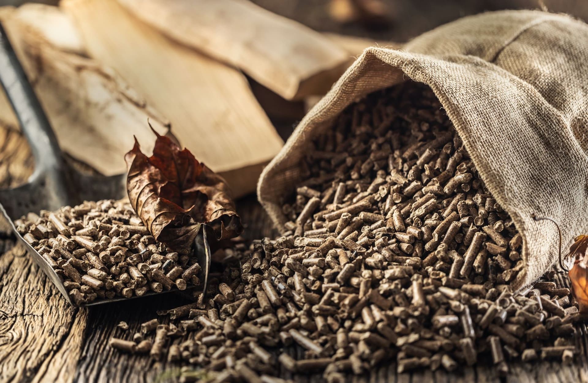 Holzpellets auf einer Schaufel und in einem Jutebeutel mit Kaminholz im Hintergrund.