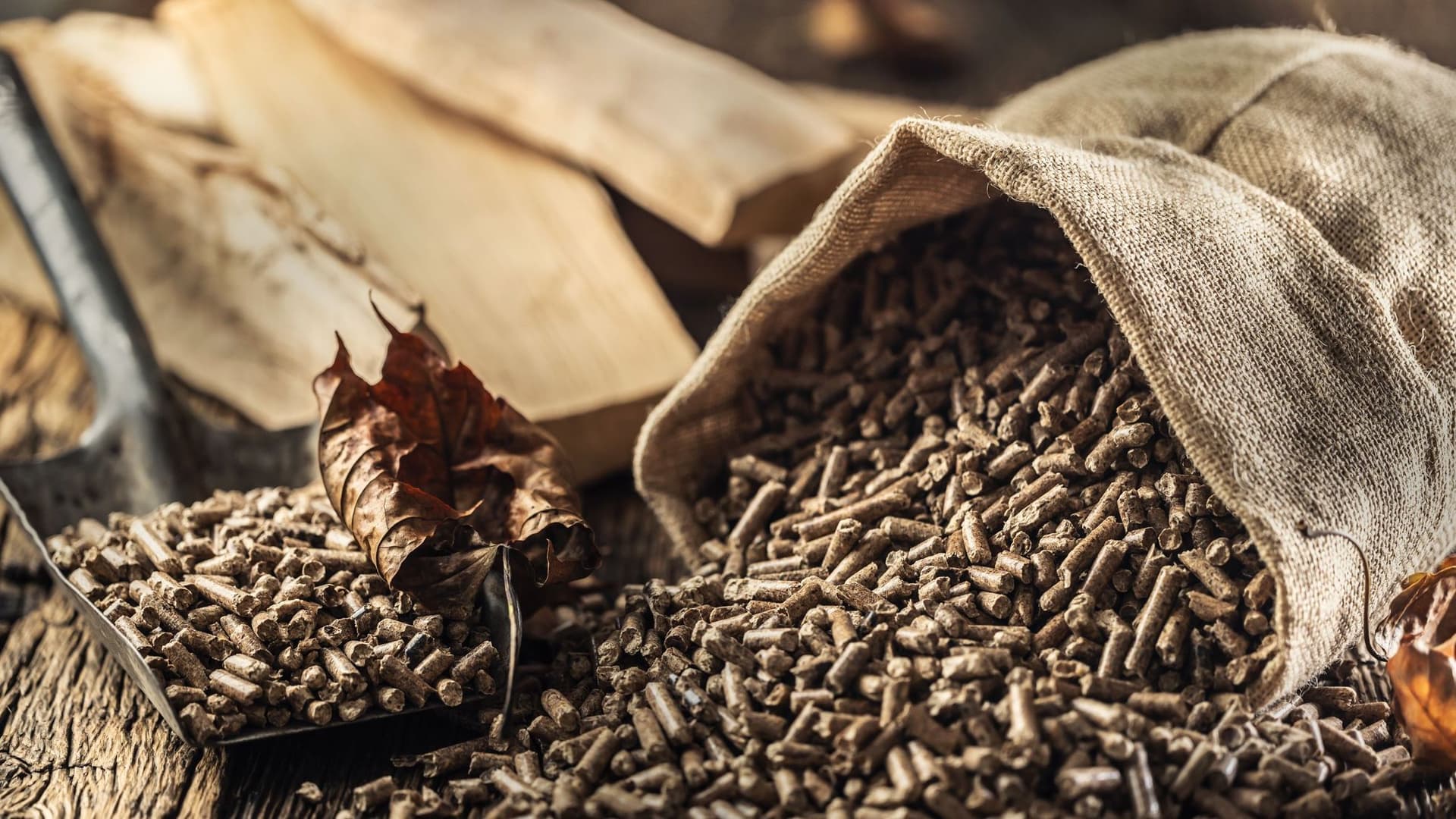 Holzpellets auf einer Schaufel und in einem Jutebeutel mit Kaminholz im Hintergrund.