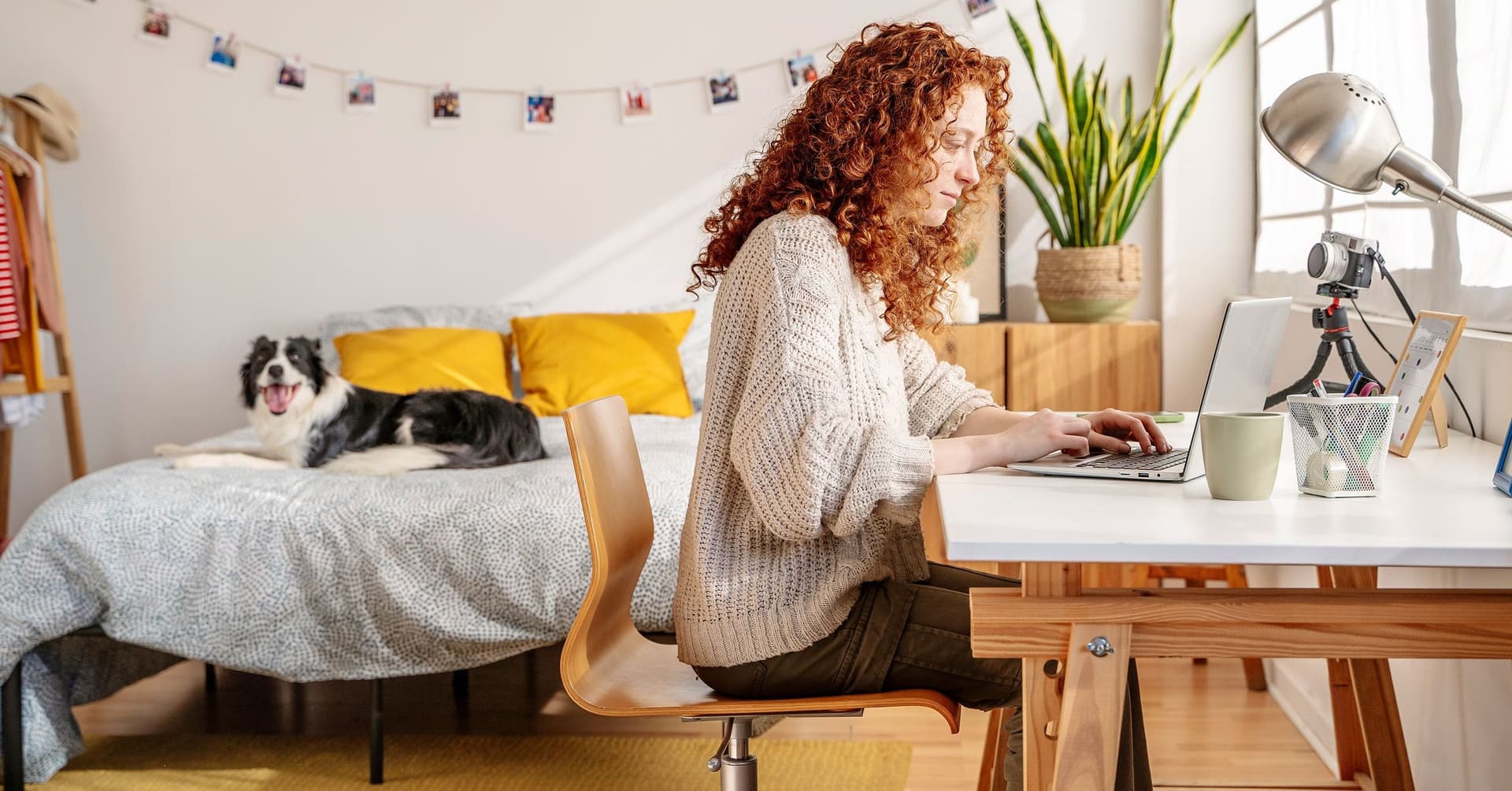 Junge Frau arbeitet zu Hause am Laptop am Schreibtisch, im Hintergrund liegt ihr Hund auf dem Bett