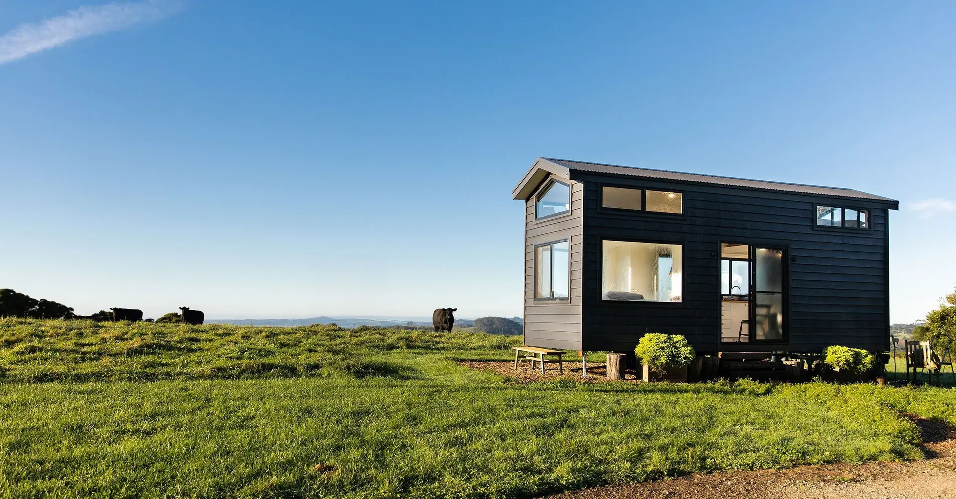 Kühe stehen auf einer Wiese neben einem modernen Tiny House mit weitem Blick über Landschaft und Kühe.